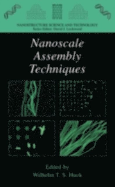 Wilhelm T.S. Huck - Nanoscale Assembly, E-bok