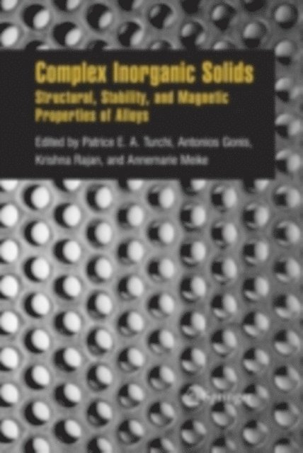 Annemarie Meike, Krishna Rajan, Antonios Gonis, Patrice E. A. Turchi - Complex Inorganic Solids, E-bok