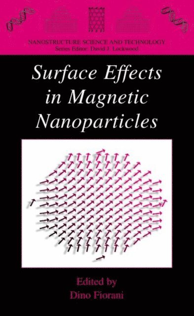 Dino Fiorani - Surface Effects in Magnetic Nanoparticles, E-bok
