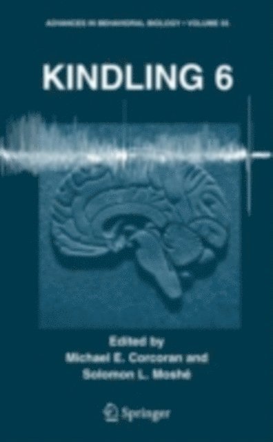 Solomon L. Moshe, Michael E. Corcoran - Kindling 6, E-bok