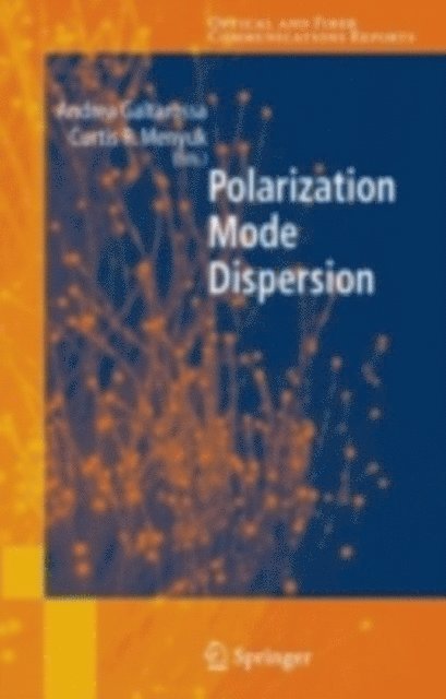 Curtis R. Menyuk, Andrea Galtarossa - Polarization Mode Dispersion, E-bok