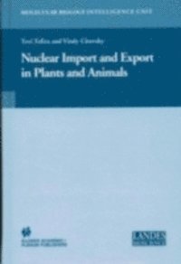 Vitaly Citovsky, Tzvi Tzfira - Nuclear Import and Export in Plants and Animals, E-bok