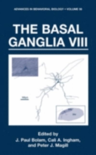 Peter J. Magill, Cali A. Ingham, John Paul Bolam - Basal Ganglia VIII, E-bok