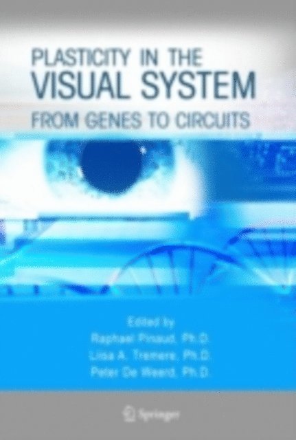 Peter de Weerd, Liisa A. Tremere, Raphael Pinaud - Plasticity in the Visual System, E-bok. Tillgänglighet: Lägg i varukorg