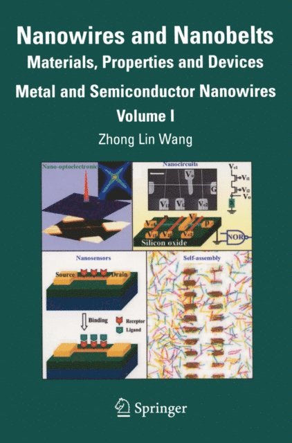 Zhong Lin Wang - Nanowires and Nanobelts, E-bok