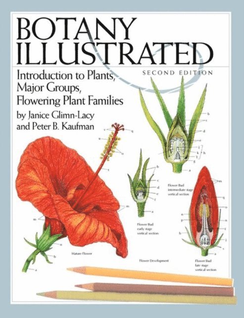 Peter B. Kaufman, Janice Glimn-Lacy - Botany Illustrated, E-bok