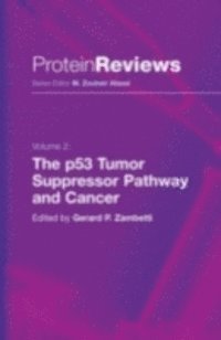 Gerard P. Zambetti - p53 Tumor Suppressor Pathway and Cancer, E-bok