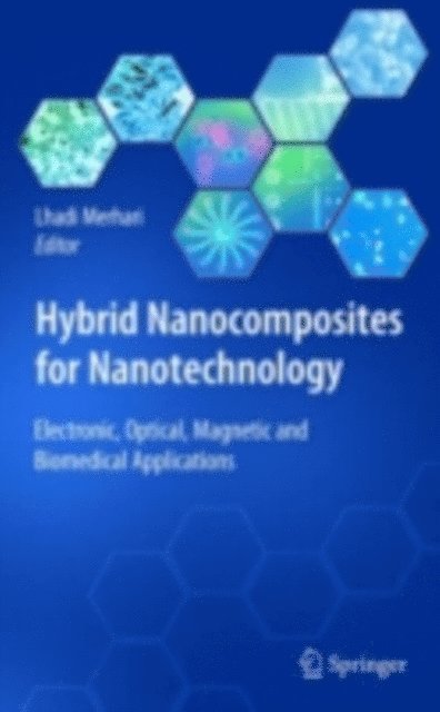 Lhadi Merhari - Hybrid Nanocomposites for Nanotechnology, E-bok