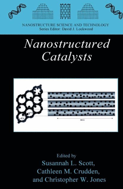 Christopher W. Jones, Cathleen M. Crudden, Susannah L. Scott - Nanostructured Catalysts, E-bok