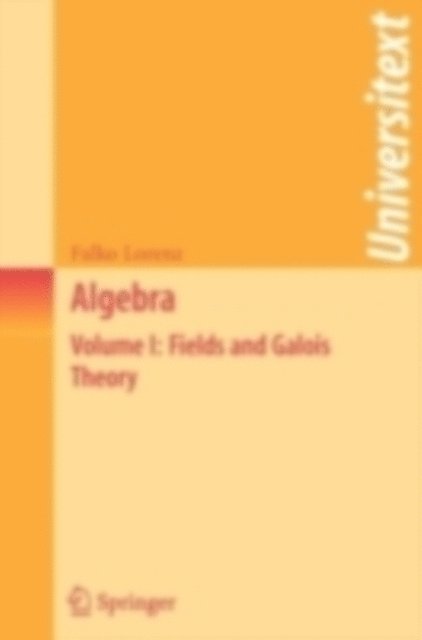 Falko Lorenz - Algebra, E-bok
