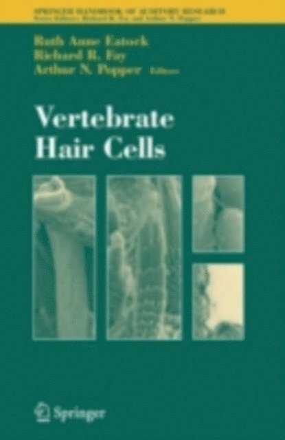 Richard R. Fay, Ruth Eatock - Vertebrate Hair Cells, E-bok