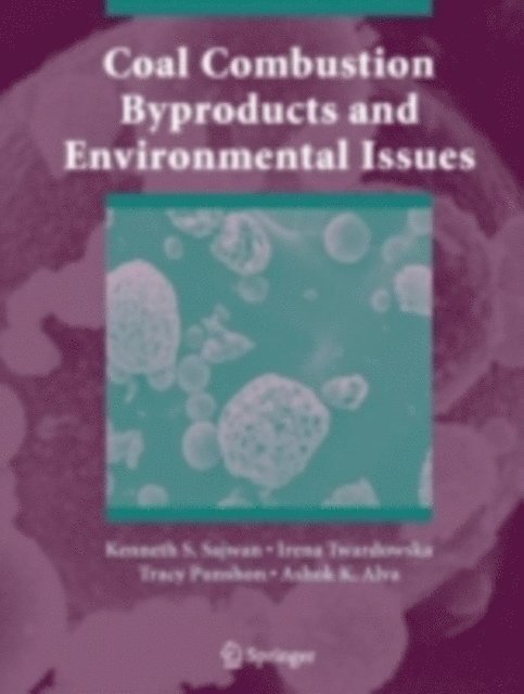 Ashok K. Alva, Tracy Punshon, Irena Twardowska, Kenneth S. Sajwan - Coal Combustion Byproducts and Environmental Issues, E-bok