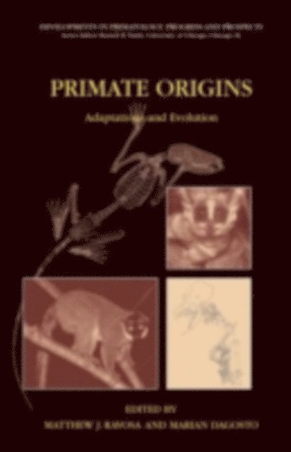 Marian Dagosto, Matthew J. Ravosa - Primate Origins: Adaptations and Evolution, E-bok