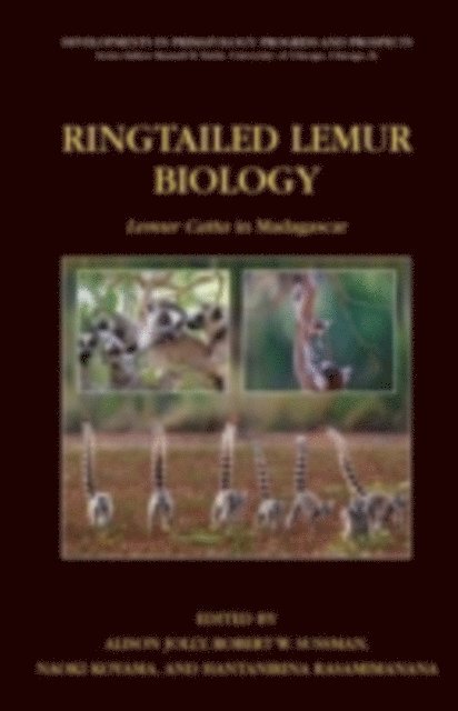 Hanta Rasamimanana, Naoki Koyama, Robert W. Sussman, Alison Jolly - Ringtailed Lemur Biology, E-bok