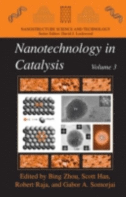 Gabor A. Somorjai, Robert Raja, Scott Han, Bing Zhou - Nanotechnology in Catalysis 3, E-bok