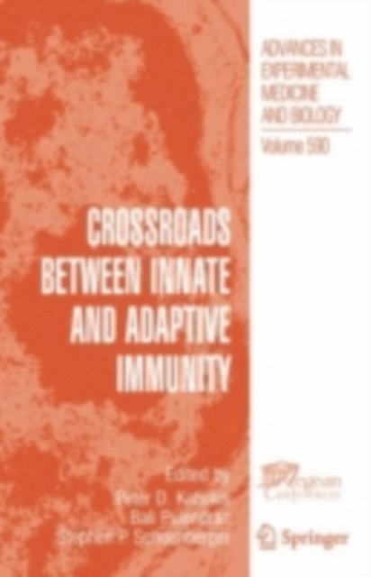 Stephen P. Schoenberger, Bali Pulendran, Peter D. Katsikis - Crossroads between Innate and Adaptive Immunity, E-bok