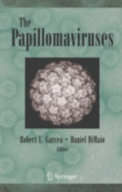 Daniel DiMaio, Robert Garcea - Papillomaviruses, E-bok