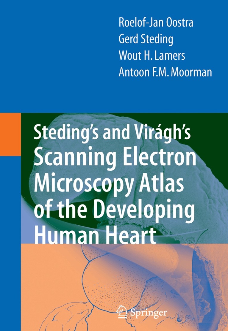 R.J. Oostra, Gerd Steding, Wout H. Lamers, Antoon F.M. Moorman - Steding's and Virágh's Scanning Electron Microscopy Atlas of the Developing Human Heart, Inbunden