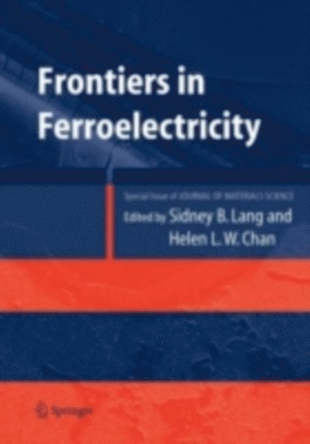 Helen L.W. Chan, Sidney B. Lang - Frontiers of Ferroelectricity, E-bok. Tillgänglighet: Lägg i varukorg