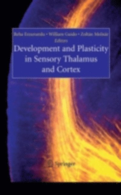 Zoltan Molnar, William Guido, Reha Erzurumlu - Development and Plasticity in Sensory Thalamus and Cortex, E-bok
