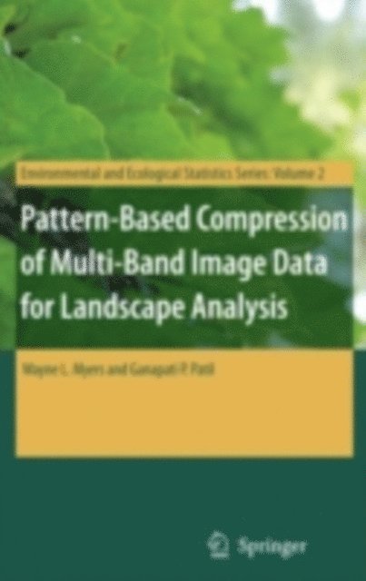 Ganapati P. Patil, Wayne L. Myers - Pattern-Based Compression of Multi-Band Image Data for Landscape Analysis, E-bok