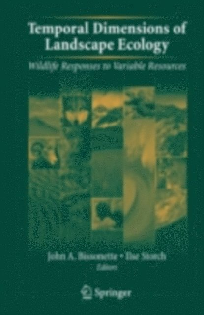 Ilse Storch, John A. Bissonette - Temporal Dimensions of Landscape Ecology, E-bok