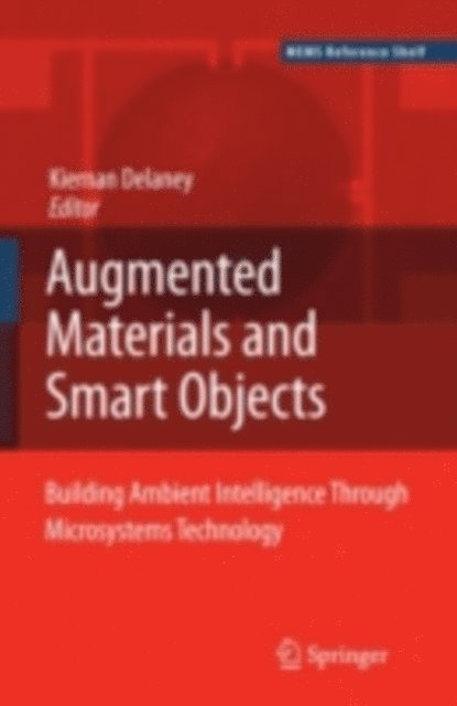 Kieran Delaney - Ambient Intelligence with Microsystems, E-bok