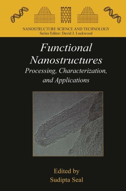 Sudipta Seal - Functional Nanostructures, E-bok