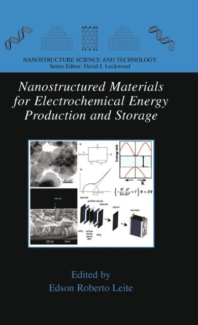 Edson Roberto Leite - Nanostructured Materials for Electrochemical Energy Production and Storage, E-bok