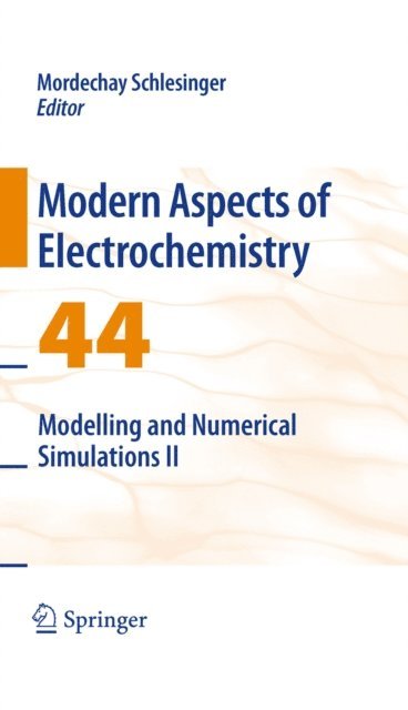 Mordechay Schlesinger - Modelling and Numerical Simulations II, E-bok
