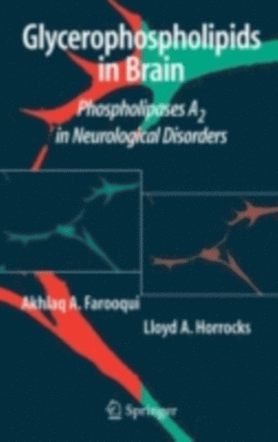 Lloyd A. Horrocks, Akhlaq A. Farooqui - Glycerophospholipids in the Brain, E-bok