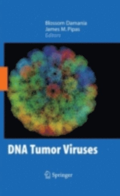 James Pipas, Blossom Damania - DNA Tumor Viruses, E-bok
