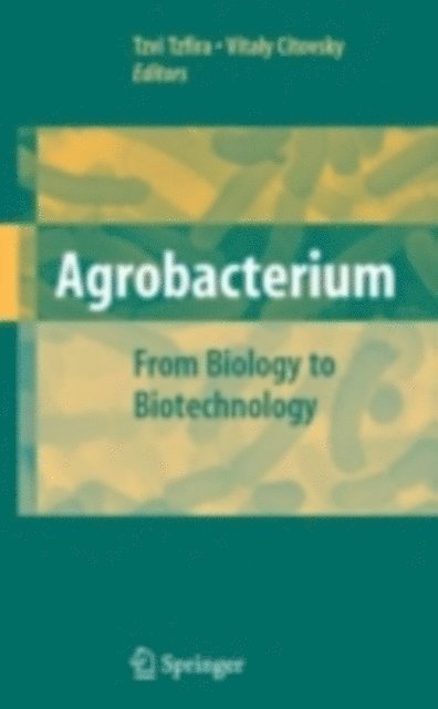 Vitaly Citovsky, Tzvi Tzfira - Agrobacterium: From Biology to Biotechnology, E-bok