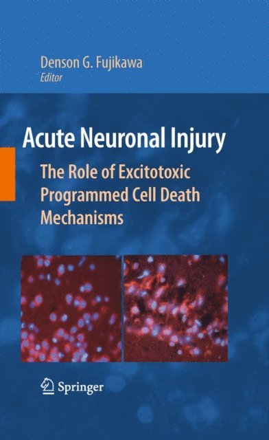 Denson G. Fujikawa - Acute Neuronal Injury, E-bok
