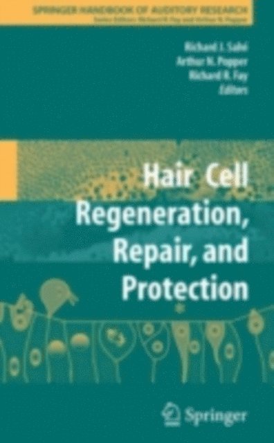 Richard R. Fay, Richard J. Salvi - Hair Cell Regeneration, Repair, and Protection, E-bok