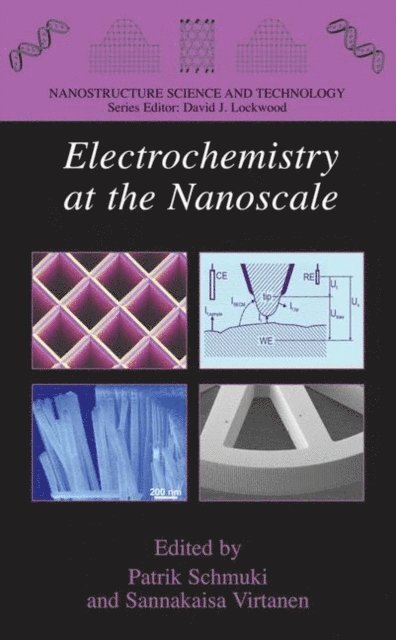 Sannakaisa Virtanen, Patrik Schmuki - Electrochemistry at the Nanoscale, E-bok