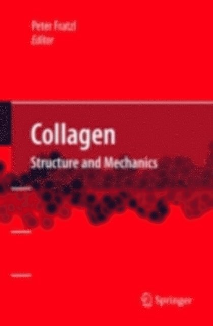 Peter Fratzl - Collagen, E-bok