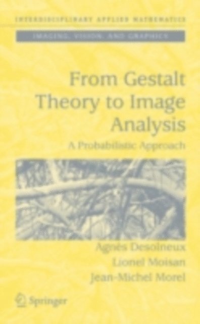 Jean-Michel Morel, Lionel Moisan, Agnes Desolneux - From Gestalt Theory to Image Analysis, E-bok