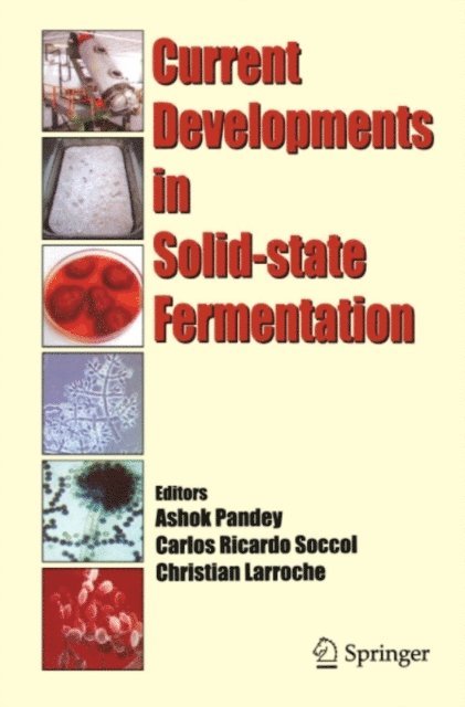 Christian Larroche, Carlos Ricardo Soccol, Ashok Pandey - Current Developments in Solid-state Fermentation, E-bok