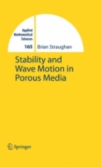 Brian Straughan - Stability and Wave Motion in Porous Media, E-bok