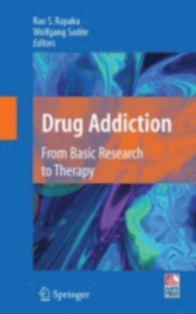 Wolfgang Sadee, Rao S. Rapaka - Drug Addiction, E-bok