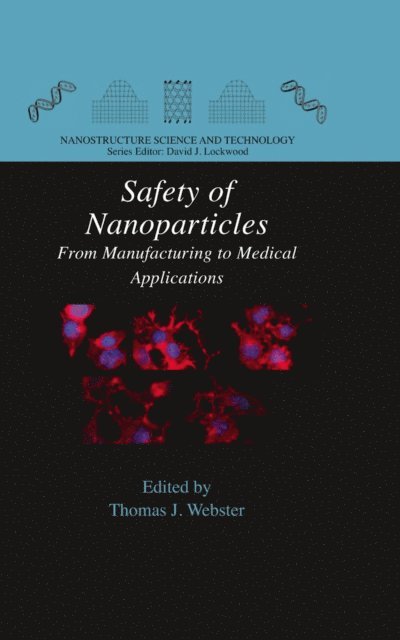 Thomas J. Webster - Safety of Nanoparticles, E-bok