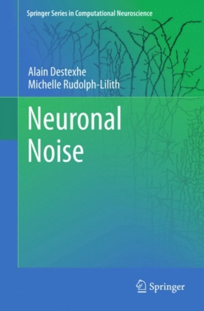 Michelle Rudolph-Lilith, Alain Destexhe - Neuronal Noise, E-bok