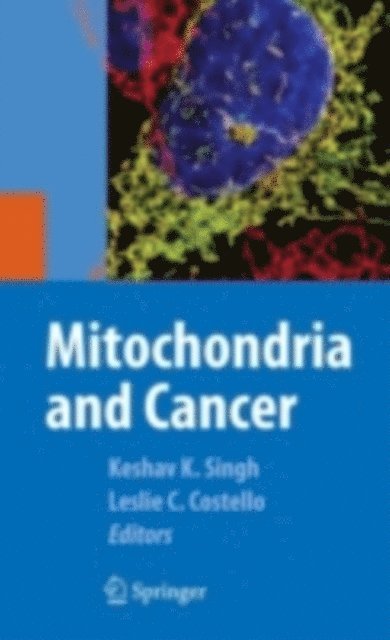Leslie Costello, Keshav Singh - Mitochondria and Cancer, E-bok