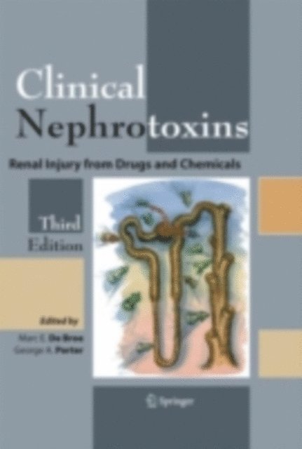 George A. Porter, Marc E. de Broe - Clinical Nephrotoxins, E-bok
