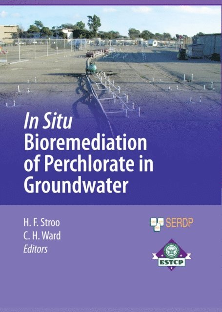 C. Herb Ward, Hans F. Stroo - In Situ Bioremediation of Perchlorate in Groundwater, E-bok
