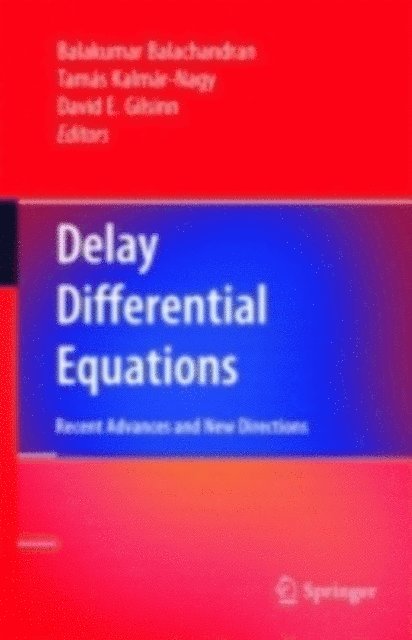 David E. Gilsinn, Tamas Kalmar-Nagy, Balakumar Balachandran - Delay Differential Equations, E-bok