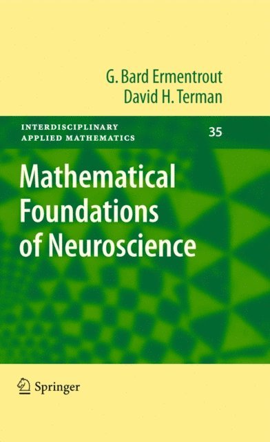 David H. Terman, G. Bard Ermentrout - Mathematical Foundations of Neuroscience, E-bok