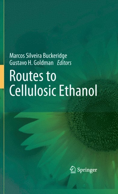 Gustavo H Goldman, Marcos Silveira Buckeridge - Routes to Cellulosic Ethanol, E-bok