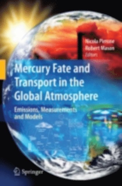 Robert Mason, Nicola Pirrone - Mercury Fate and Transport in the Global Atmosphere, E-bok